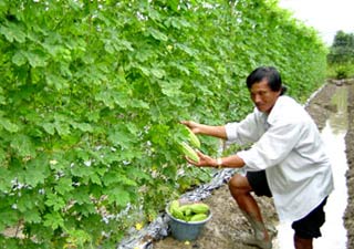 Application of science and technology to create a momentum for agricultural production