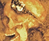 Arab genes in the Iron Age tomb of Denmark