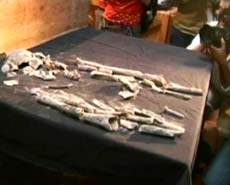 Archaeological discovery in Mexico