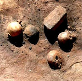 Archaeological remains of victims of epidemics 'Apocalypse Day' Egypt