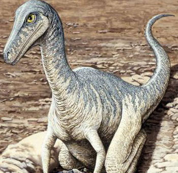 Arctic dinosaurs are only 20 years old