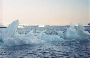 Arctic is no longer ice in 2100?