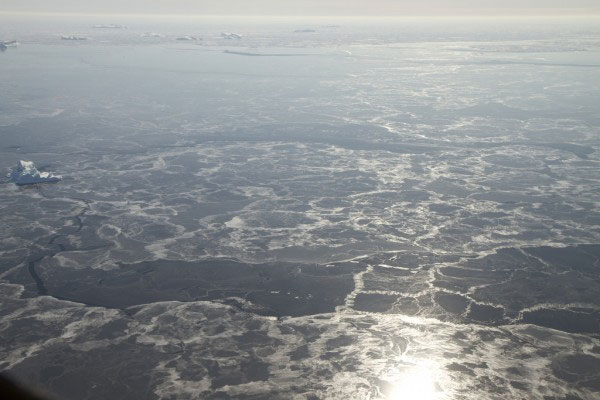 Arctic sea ice area is at a record low