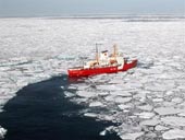 Arctic waves