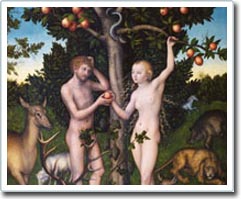 Are all races of Adam and Eva?