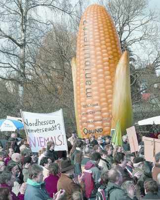 Are GM foods really safe?