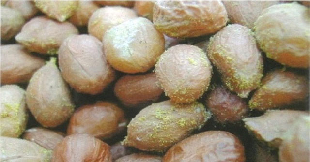 Are moldable foods removed, can you eat away the mold: 3 types of mustard must be thrown away