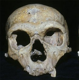 Are Neanderthals extinct because their eyes are too big?