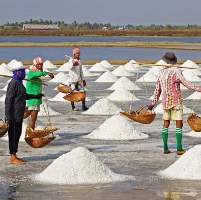 Are we eating plastic waste daily?