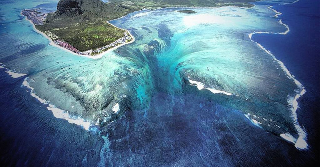 Are your eyes fooled by nature?