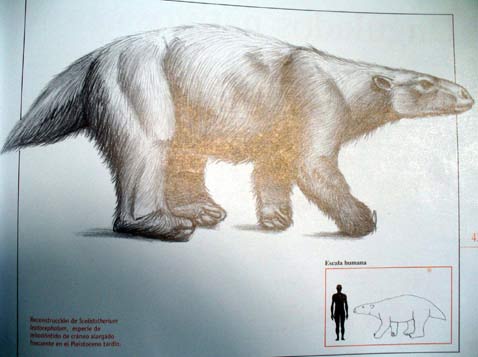 Argentina: Discovering the footprint of an animal that lived 15,000 years ago