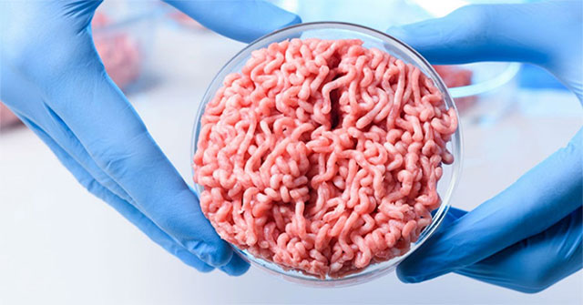 Artificial beef will be available in the market: Breakthroughs for vegetarians because they do not want to kill