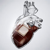 Artificial blood will be tested in humans in 2016