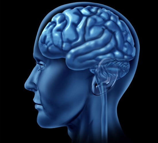 Artificial brain helps restore mobility