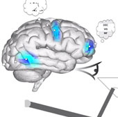 Artificial brains are capable of counting and reasoning