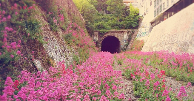 Artificial buildings are invaded by nature