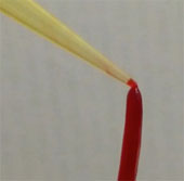 Artificial collagen naturally heals wounds