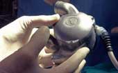 Artificial heart transplant test does not beat