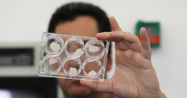 Artificial meat 'crowned' next 2 years?
