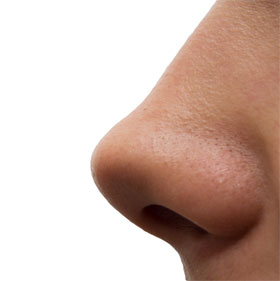 Artificial nose helps to find blood infection bacteria