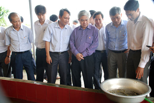 Artificial reproduction of the spotted fish, spotted fish