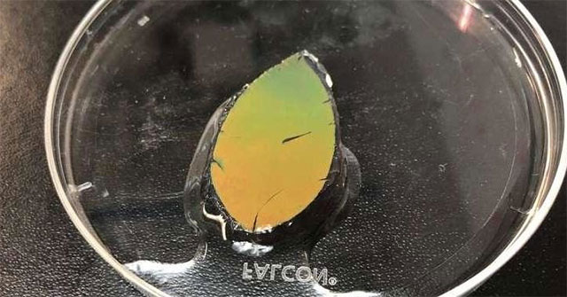 Artificial skin changes color like chameleon