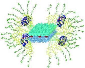 Artificial viruses carry gene molecules and pharmaceuticals into tumors