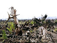 Asean deal with climate change