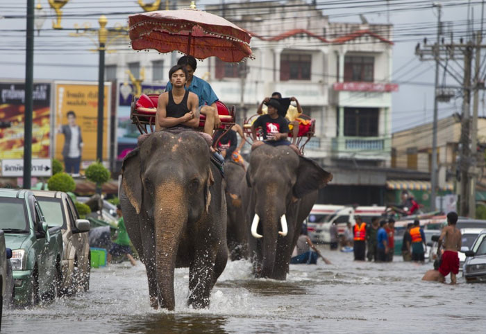 ASEAN set up a disaster relief center for the region
