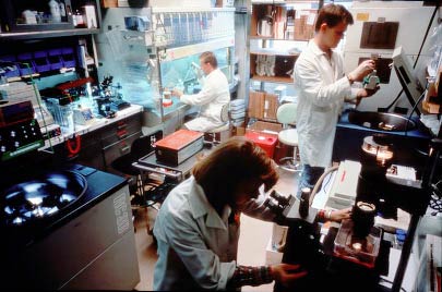 'Assassin' of HIV