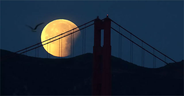 Astronomical Events: Waiting for a partial eclipse on July 17