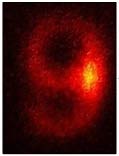 Atoms store 2D images in record time