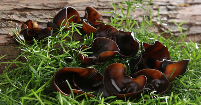 Atrium and potential dangers