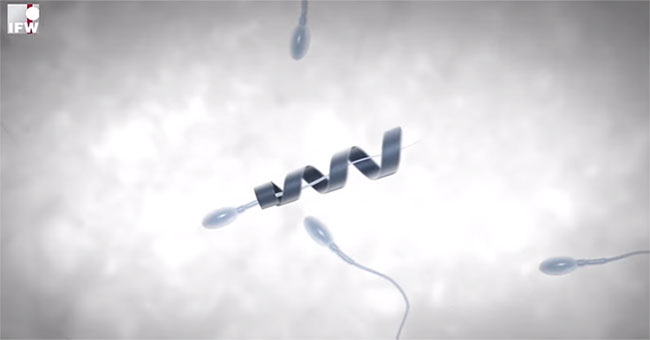 Attach 'motor' to the tail of weak sperm to cure infertility