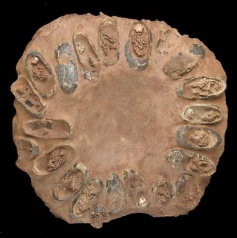 Auction of dinosaur nest