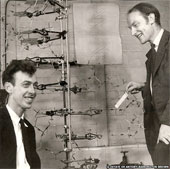 Auction the first letter about DNA