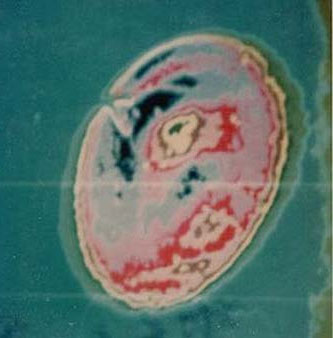 Australia announces confidential documents about UFOs