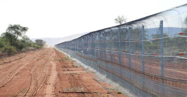 Australia built the world's longest fence to prevent cats