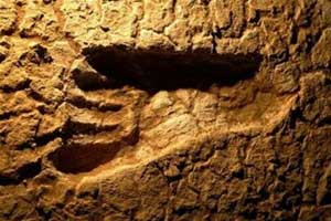 Australia discovered human footprints in the ice age