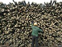 Australia established the world forest protection fund