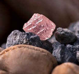 Australia: Excavating giant pink diamonds