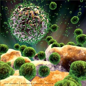 Australia found the key to cure HIV / AIDS