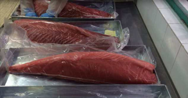 Australia is alert to tuna freshened with Carbon Monoxide