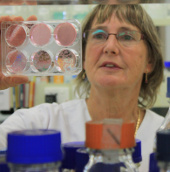 Australia produces highly effective new anti-influenza drugs