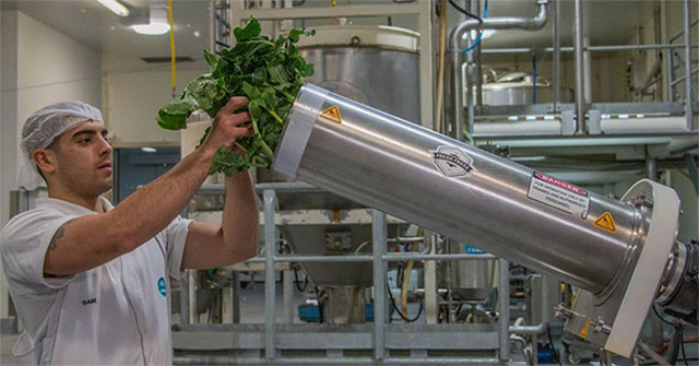 Australia turns 'trash' cauliflower and broccoli into herbs