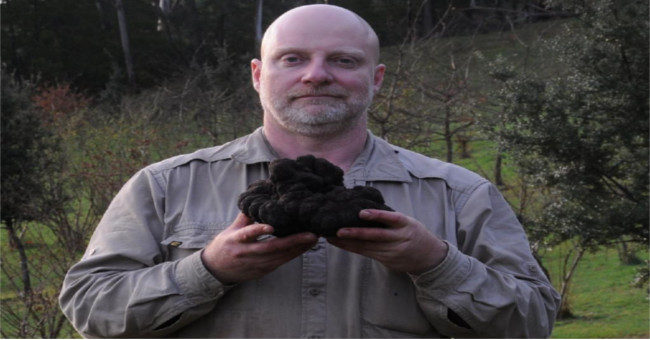 Australian farmers can dig mushrooms