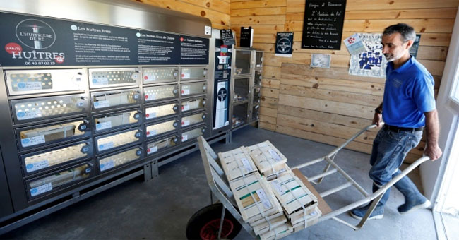 Automatic oyster vending machines in France