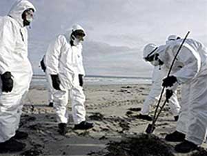 Avian flu appears in Poland