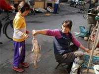 Avian flu: the situation is more complicated