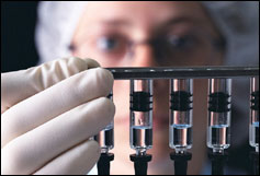 Avian influenza vaccine is about to be circulated in the United States